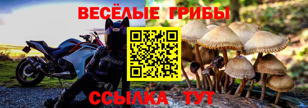 КОКАИН  Советская Гавань  Канабис  КЕТАМИН  Гашиш  Меф МЯУ МЯУ   A-PVP СОЛЬ кристаллы  Вход с VPN 